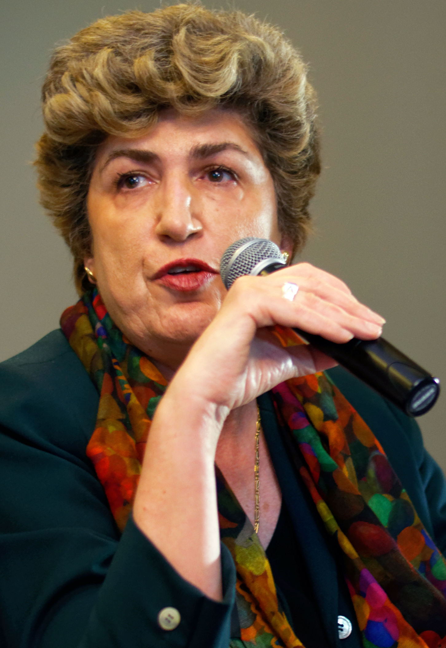 Imagem de referência relacionada a Maria João Rodrigues, item descrito como académica e política portuguesa