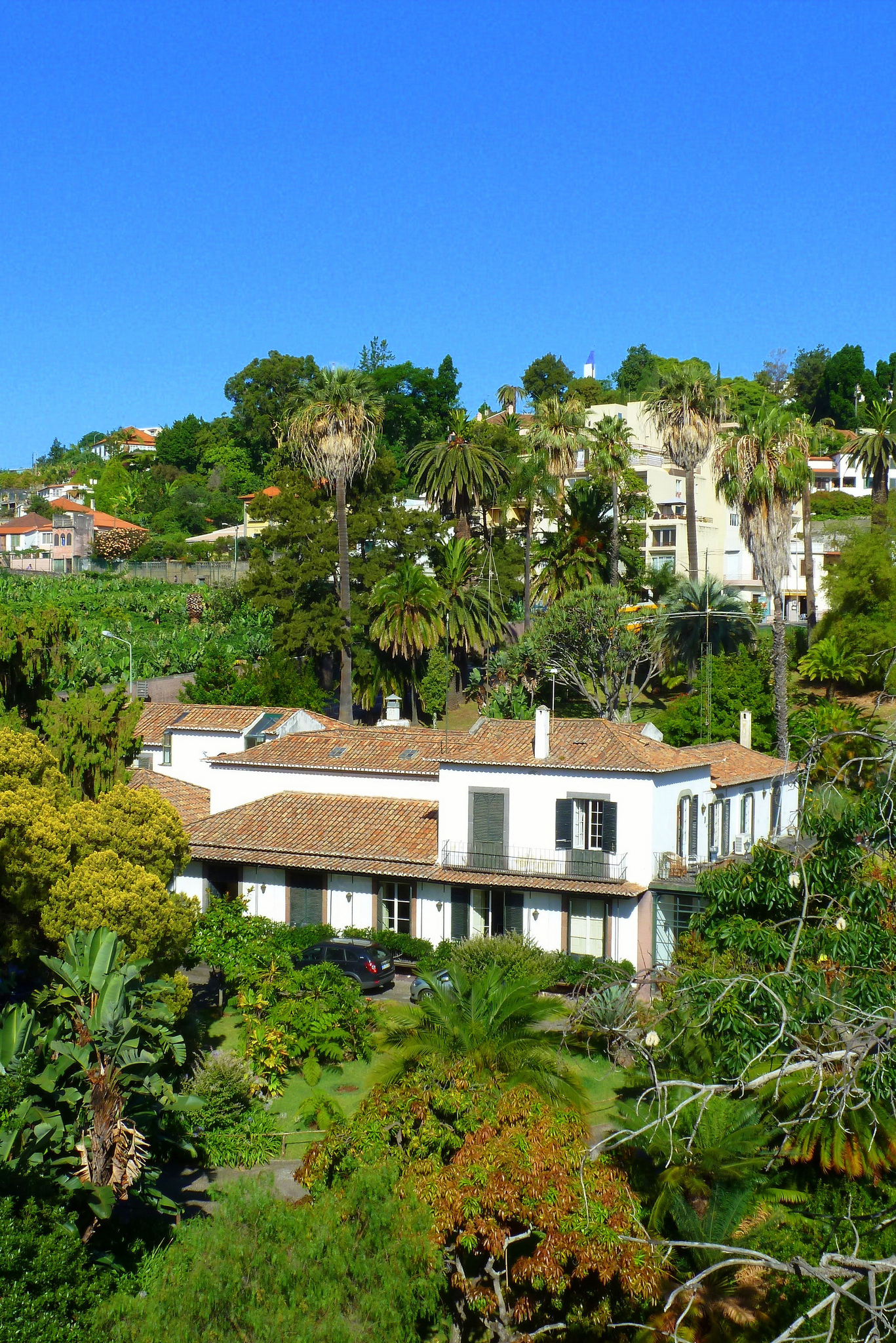 Imagem de referência de Quinta Magnólia, descrito nos dados abertos como quinta, centro cultural e jardins no Funchal, Madeira