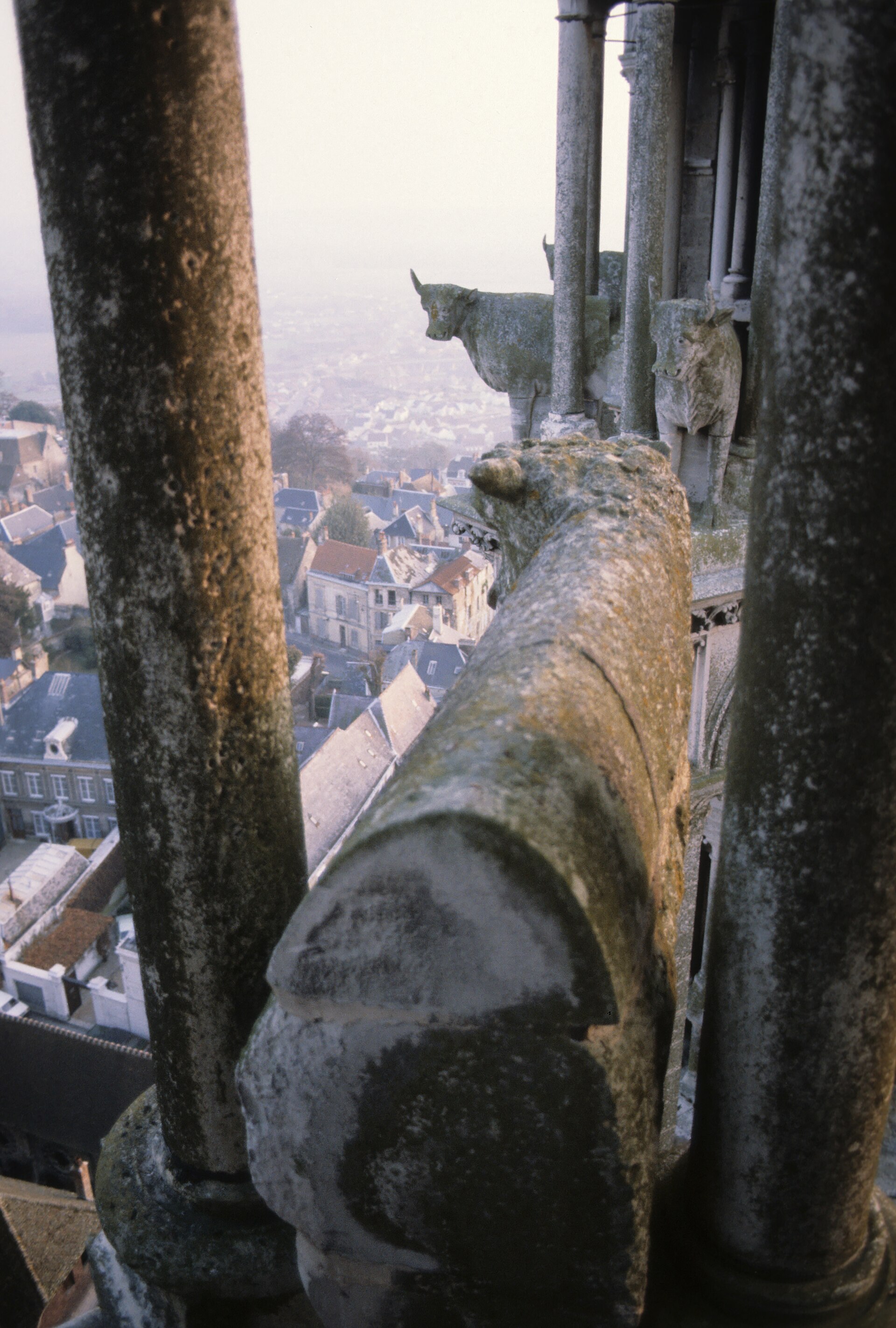 Imagem de referência de Catedral de Laon, descrito nos dados abertos como catedral da França