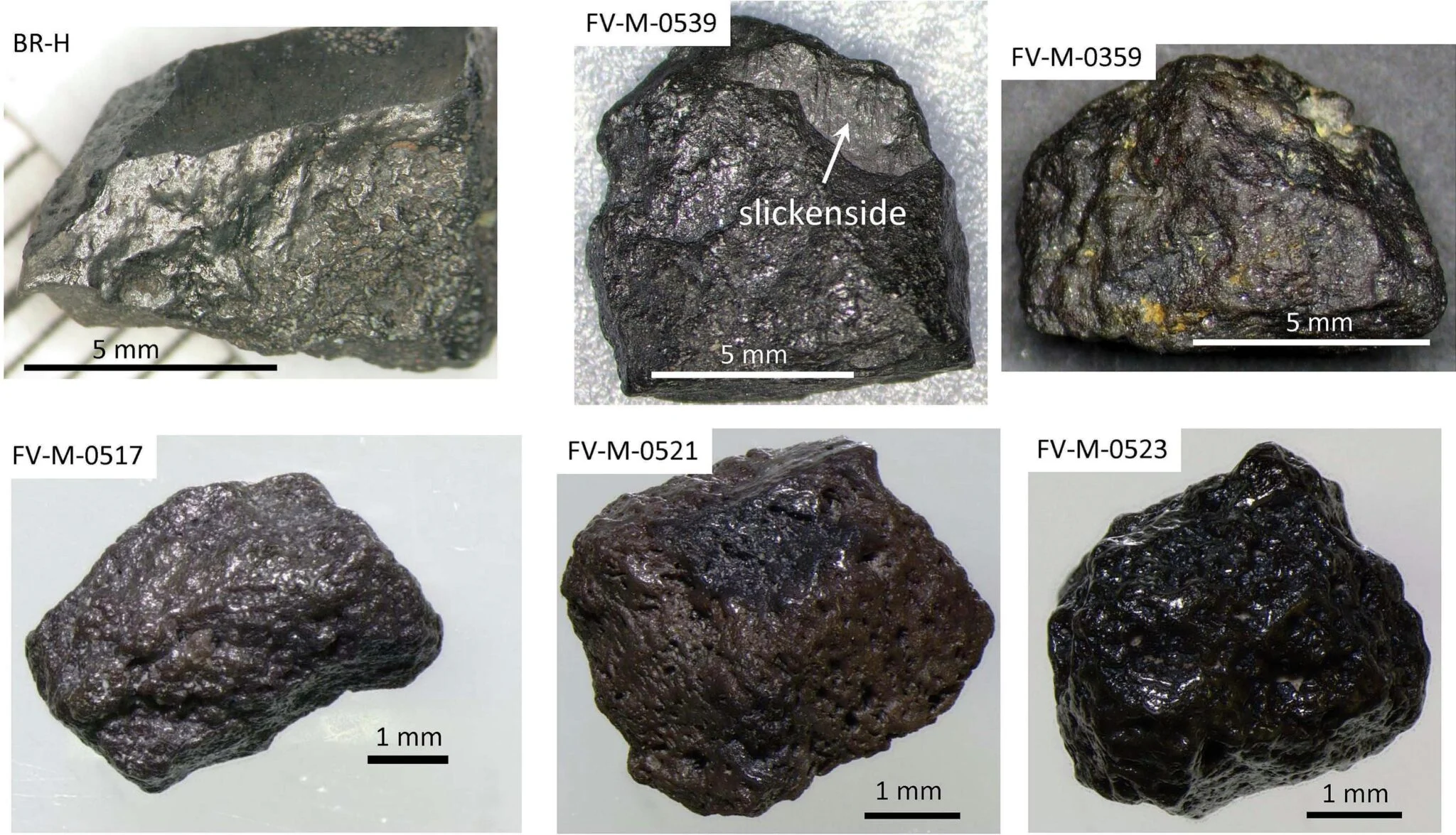 Amostras de diamante carbonado examinadas no estudo. Suas superfícies escuras e irregulares mostram por que essas pedras intrigam os pesquisadores.