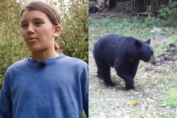 Menino de 12 anos luta com urso, acerta soco e escapa de ataque nos EUA