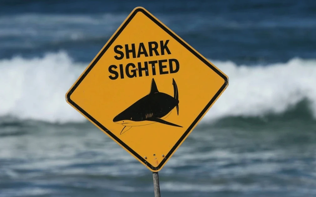 'Jazza' Dickens mira o retorno ao topo antes do confronto em Dubai