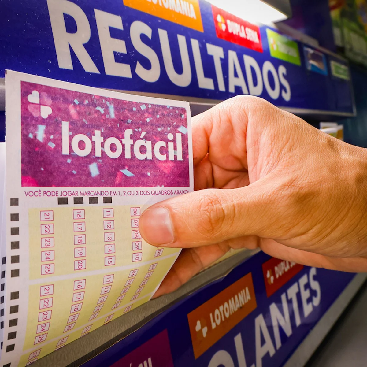 Lotofácil 3783 acumula, e prêmio vai a R$ 5 milhões. Veja resultado