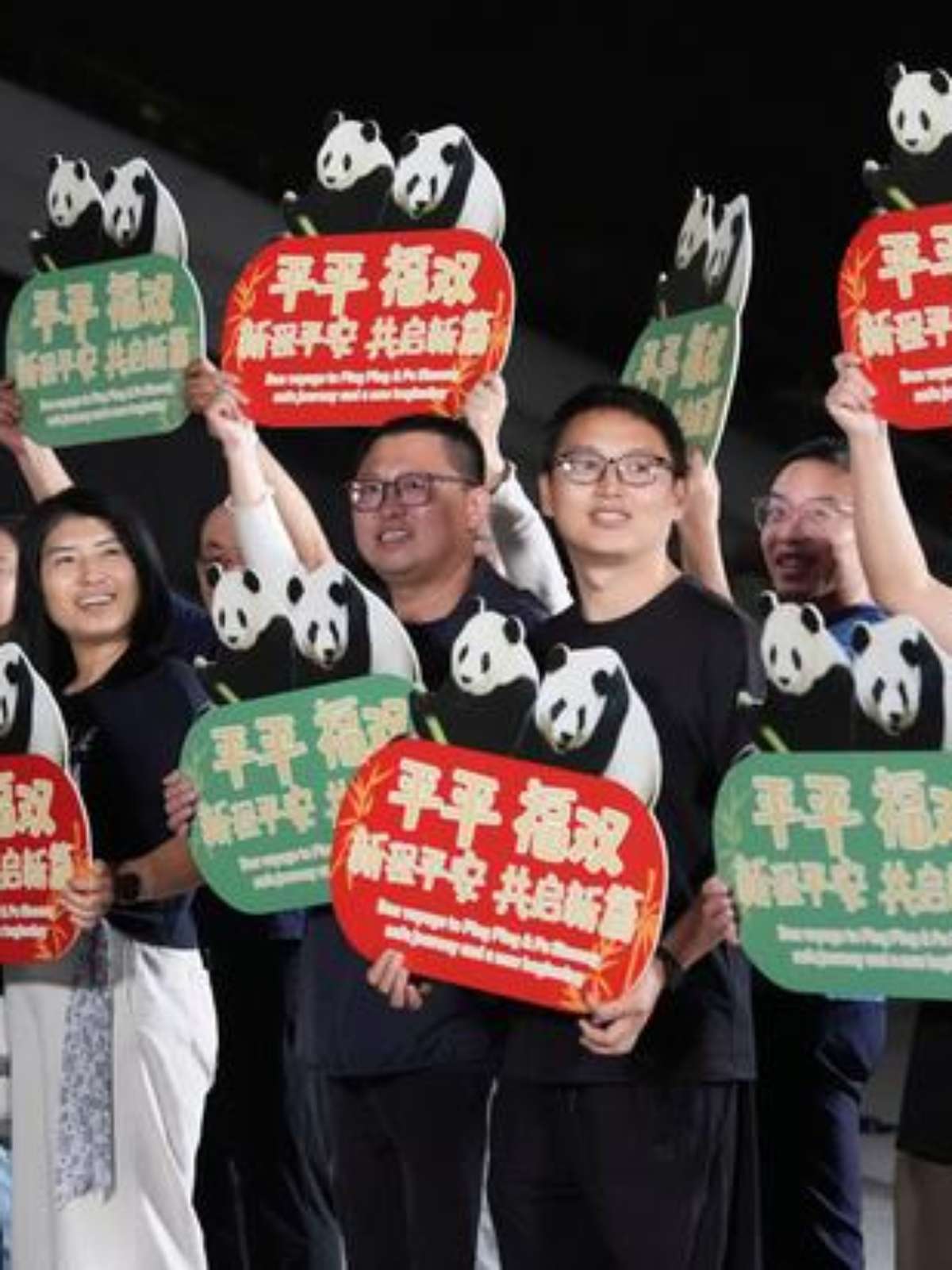 China envia dois pandas-gigantes para zoológico nos EUA