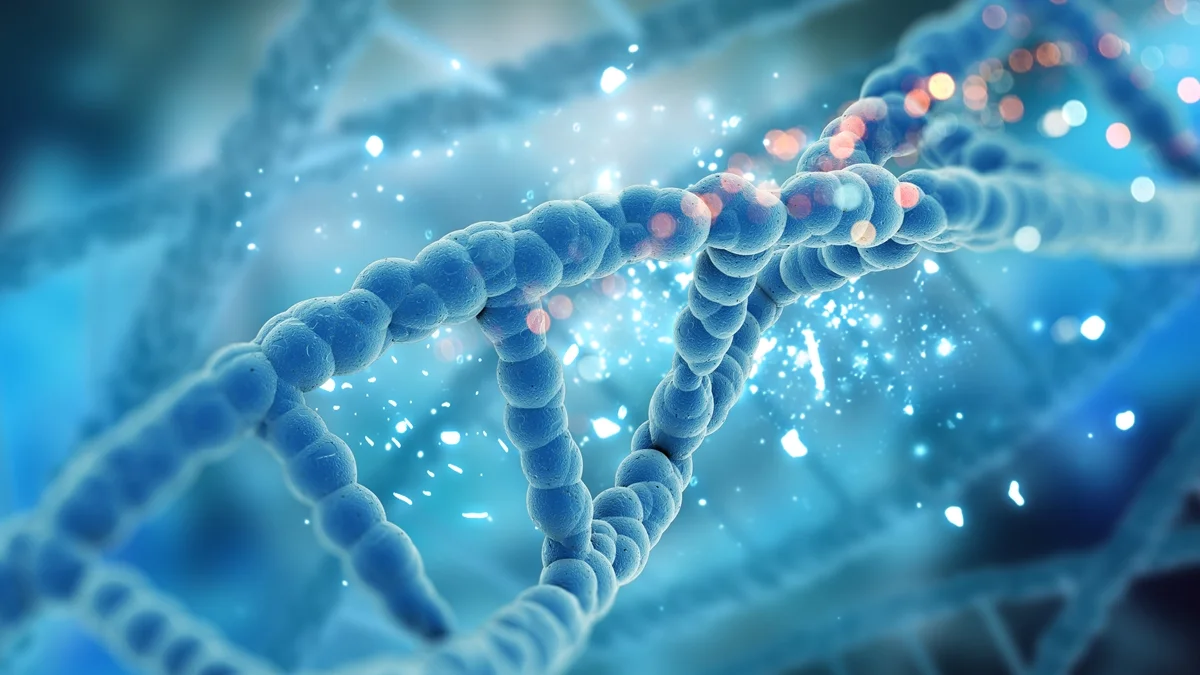 Falha em proteína do óvulo pode afetar embrião e aumentar mutações