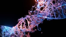 Gerente é presa após amarrar funcionário neurodivergente em churrasqueira de restaurante