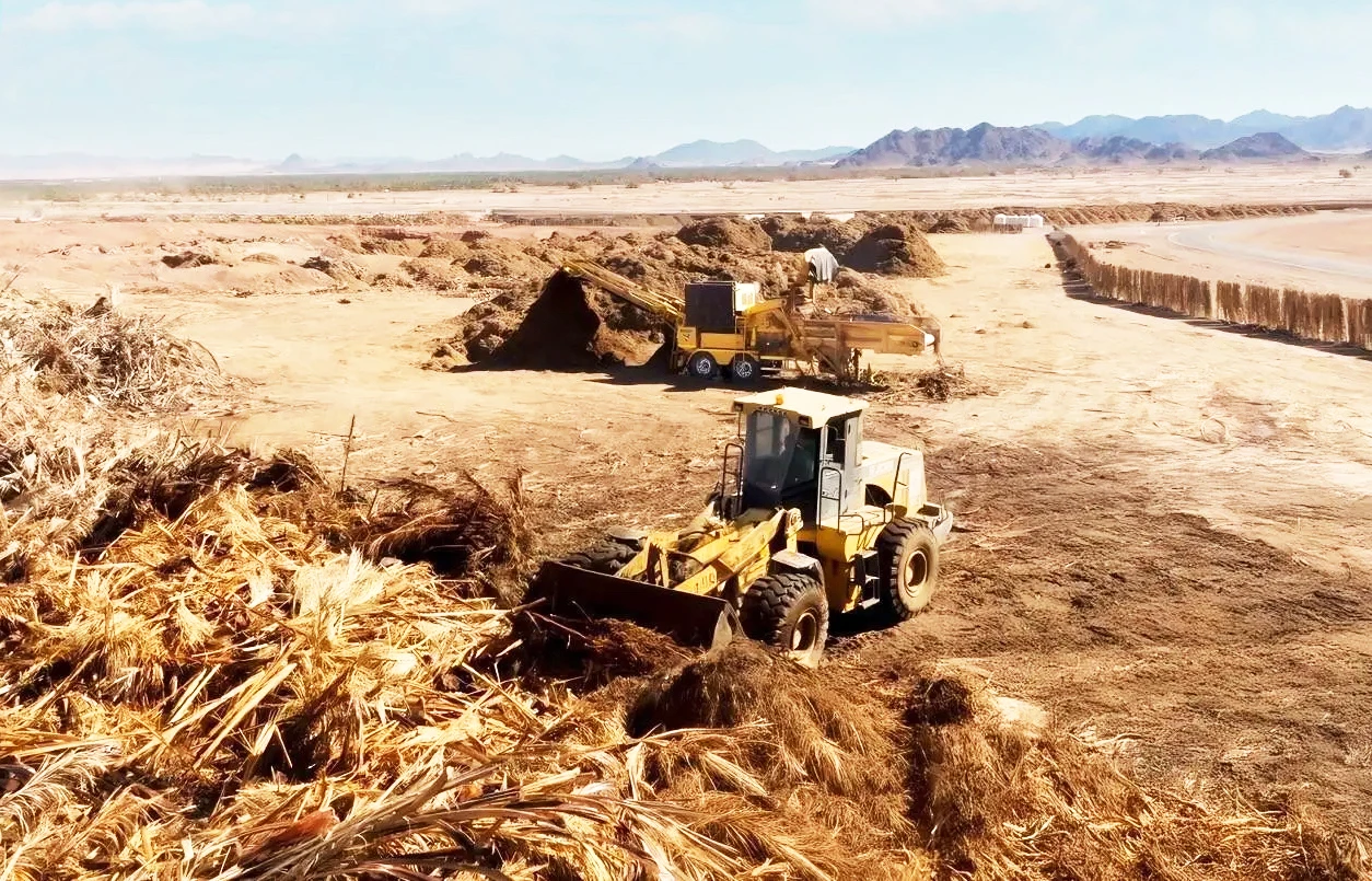 Madinah eyes investment in date palm waste