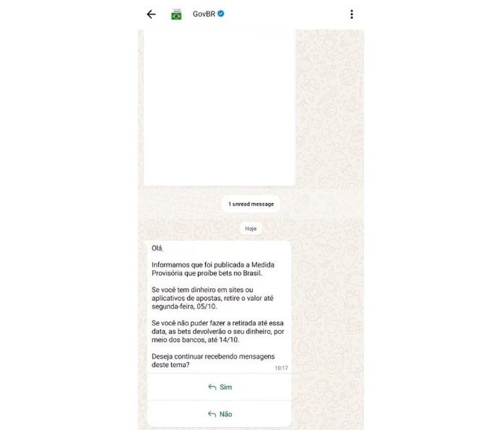Mensagem oficial enviada pelo Gov.BR — Foto: Reprodução