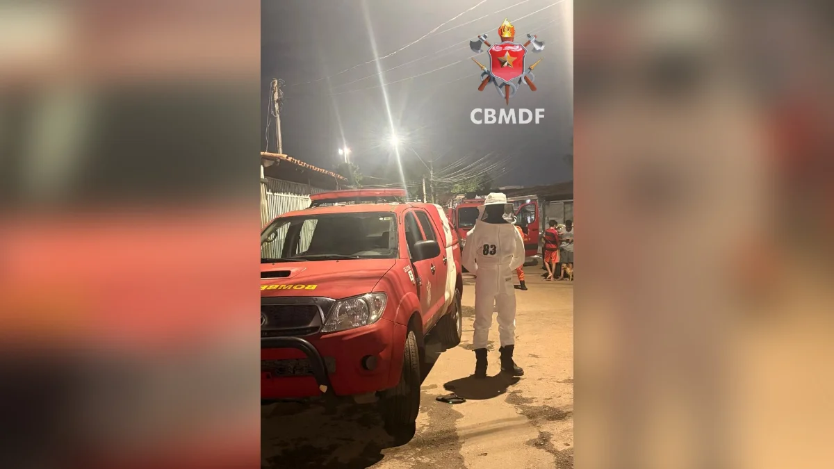 Enxame de abelhas invade residência em Taguatinga e mobiliza bombeiros