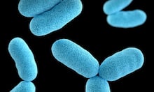 Por que a roupa lavada fica com mau cheiro se ficar molhada? Um cientista especializado em têxteis explica como resolver isso