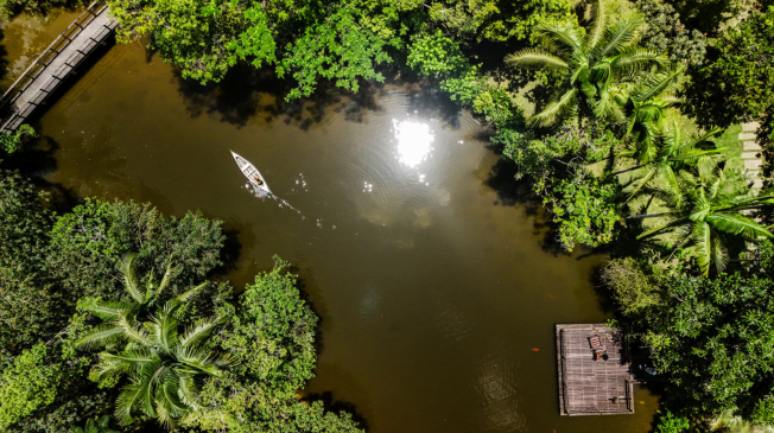 Planos dos candidatos para o meio ambiente focam no combate ao desmatamento e 'mostram consenso discursivo amplo', analisam especialistas