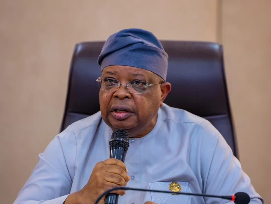 Many Nigerians still lack reliable electricity supply – Power minister