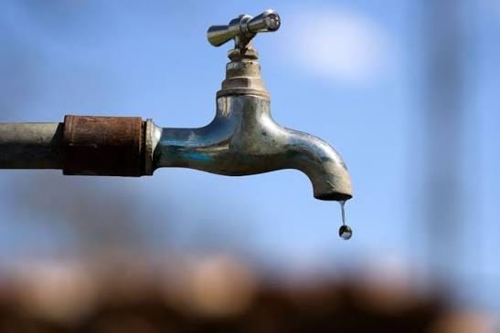 Comerciantes forçados a pagar ou usar arbustos