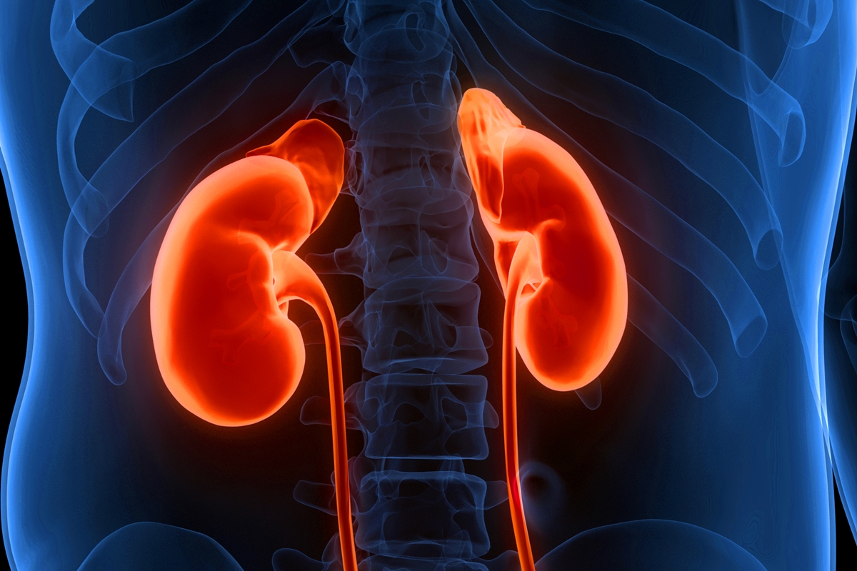 Problema nos rins pode causar pressão alta? Cardiologista explica a relação