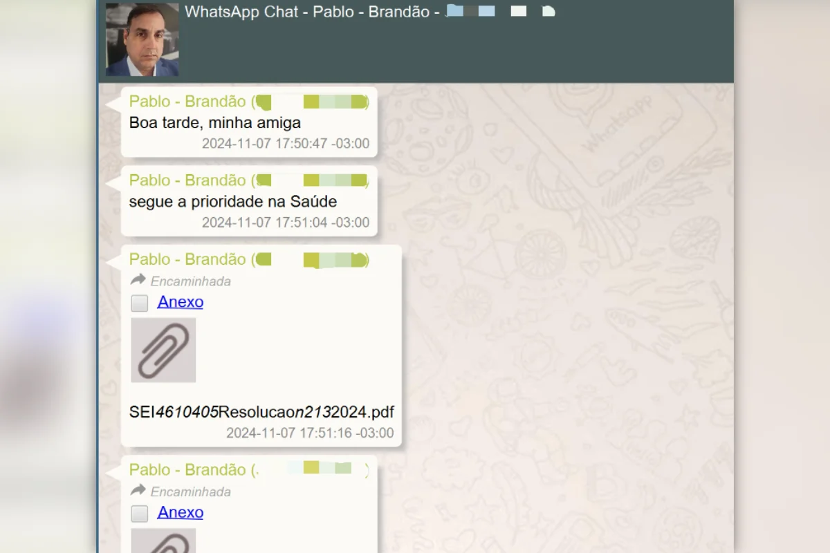 Troca de mensagens entre Roberta Luchsinger e assessor de Brandão
