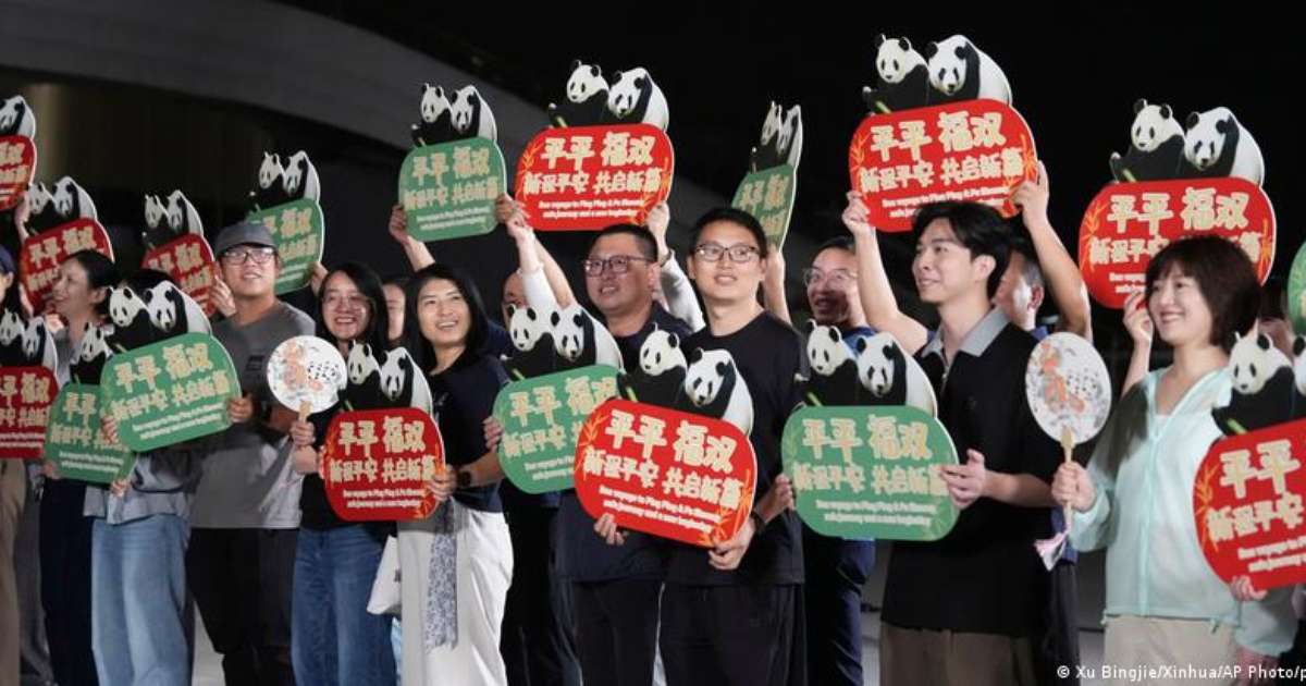China envia dois pandas-gigantes para zoológico nos EUA
