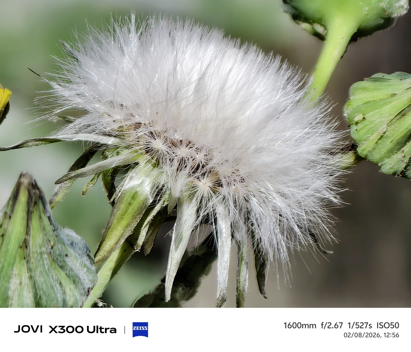 Os 5 melhores celulares topo de linha testados pelo TechTudo até agora
