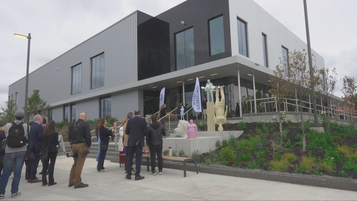 Pierrefonds-Roxboro aquatic complex officially inaugurated after years of planning