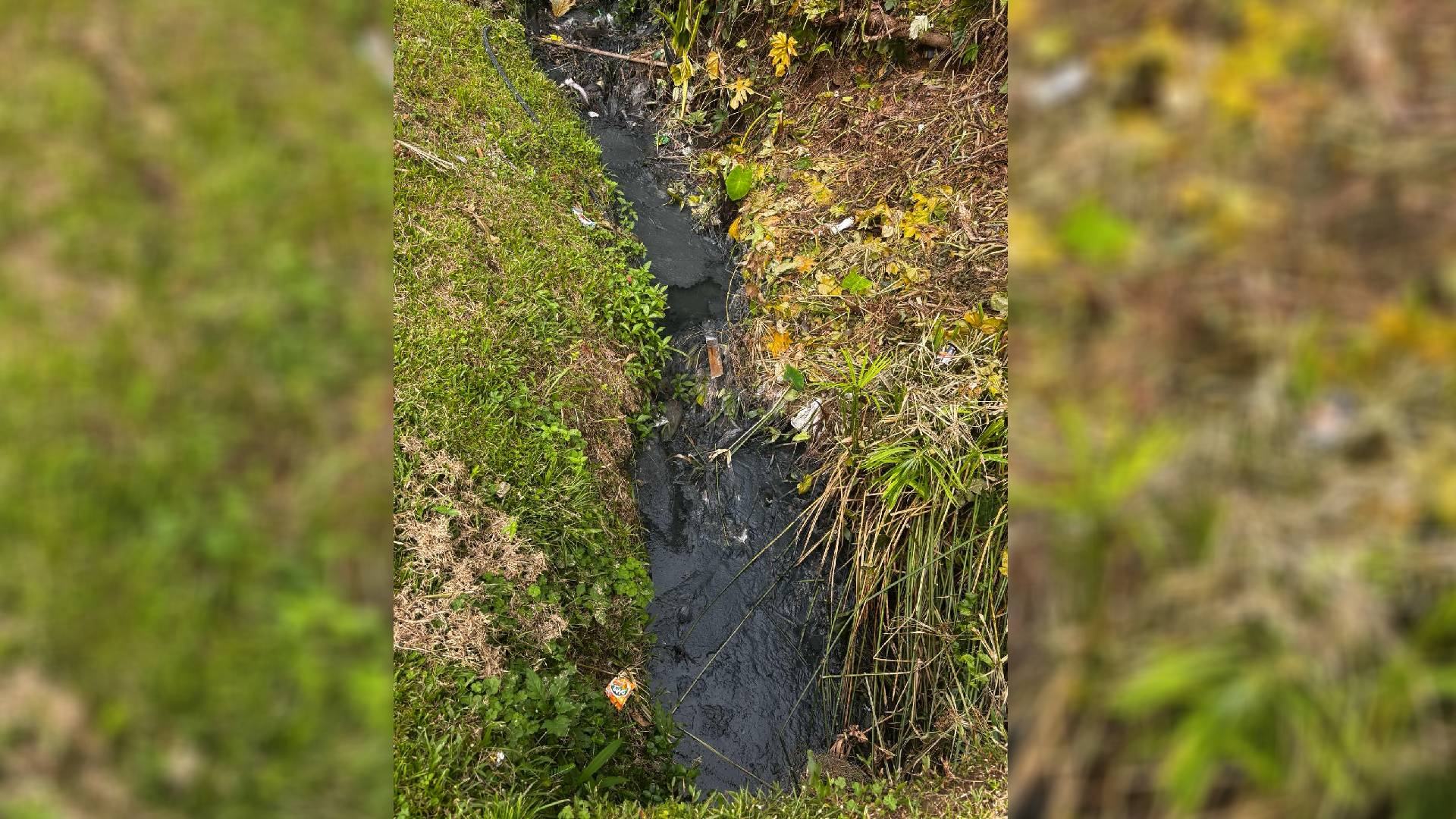 Sewage discharge and strong stench raise concerns along Tomanu Road, Nadera
