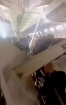 Baratas invadem cabine de voo internacional e assustam passageiros