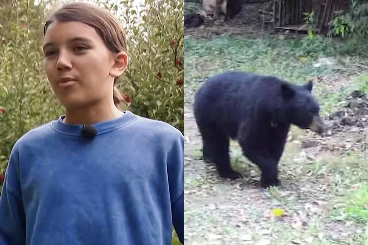 Menino atacado por urso nos EUA - Metrópoles