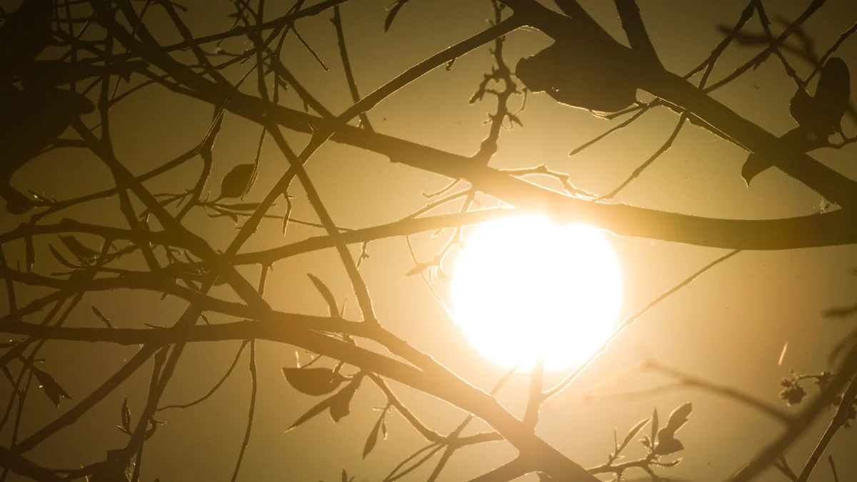 Baixa umidade de calorão: confira a previsão do tempo para semana no DF
