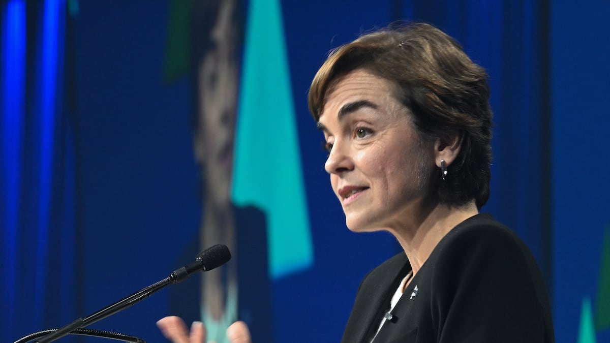 ‘Very concerned’: Fréchette responds to allegations of U.S. interference in Quebec election