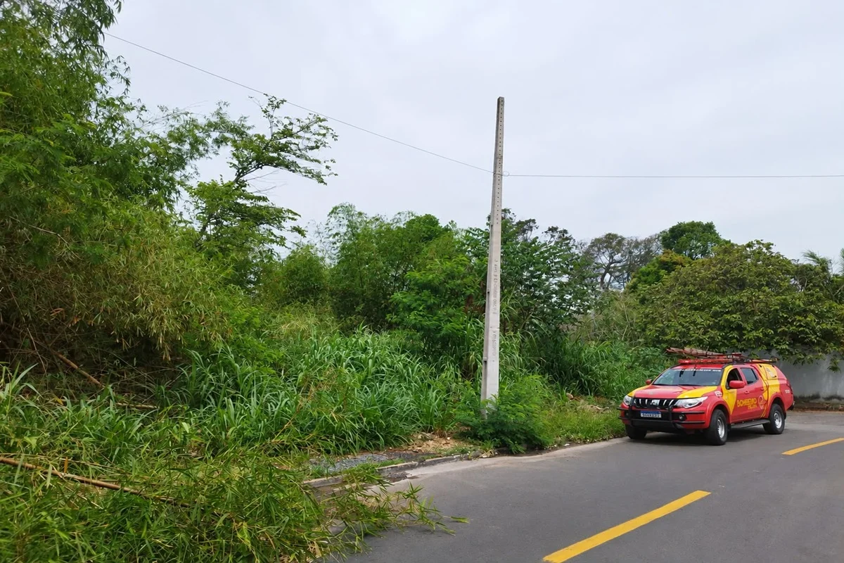 CBMGO localiza ossada humana durante buscas a idosa desaparecida há 15 dias