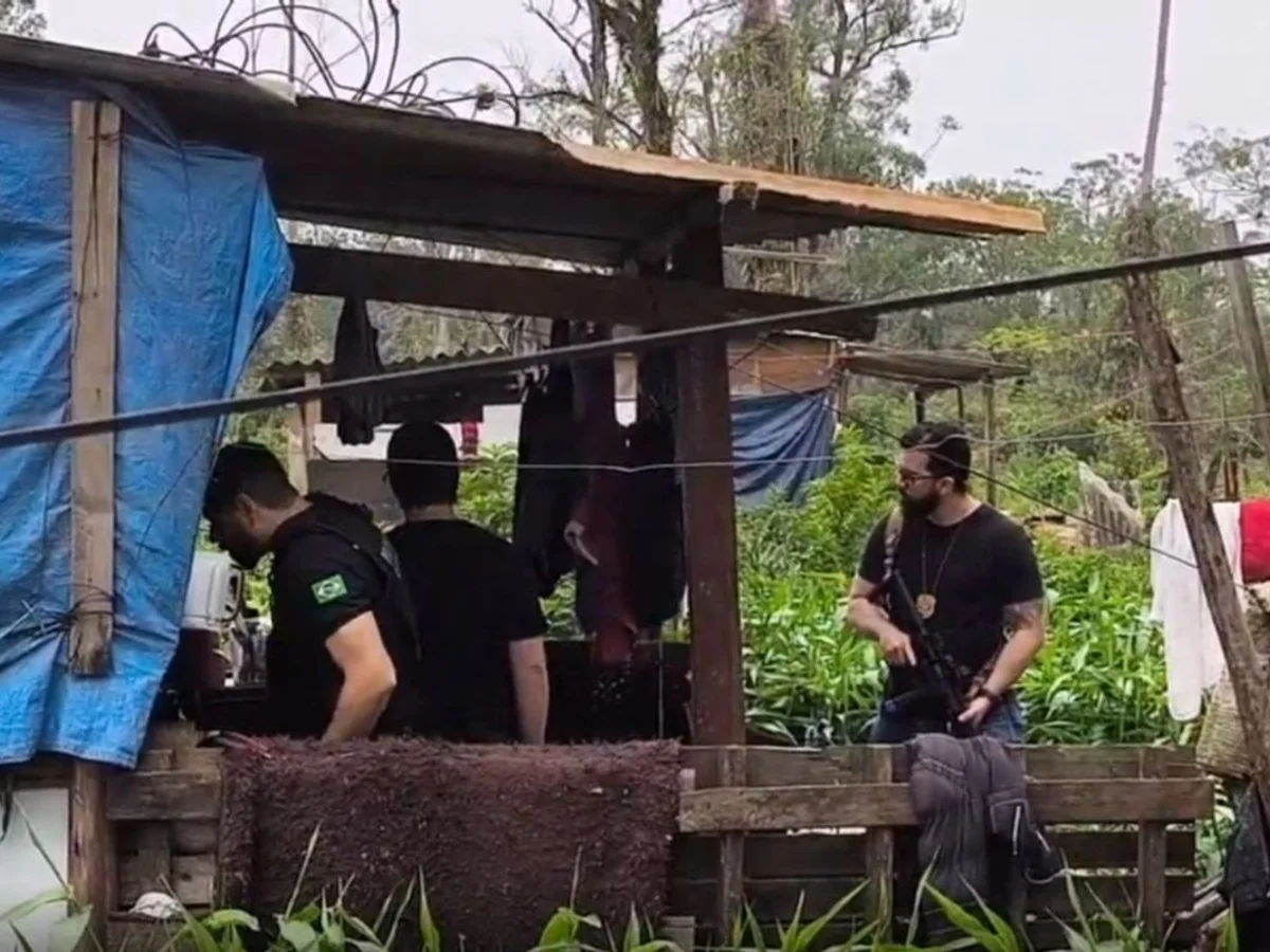 Menina de 2 anos é morta a golpes de martelo pelo irmão enquanto brincava