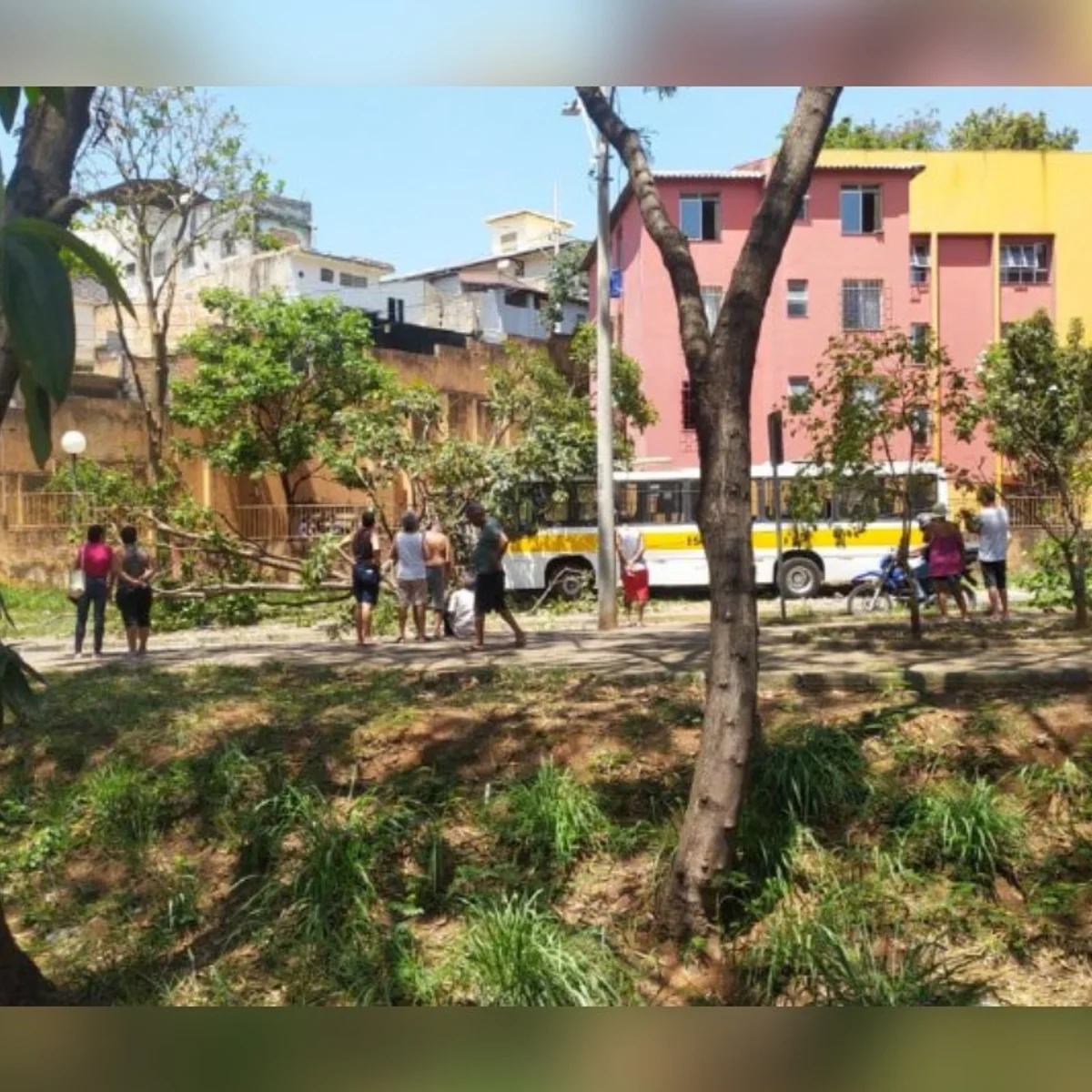 Ônibus escolar bate em poste e duas crianças ficam feridas em BH