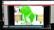 Recém-nascidos ganham anel de ouro de 22 quilates em hospitais públicos na Índia; entenda