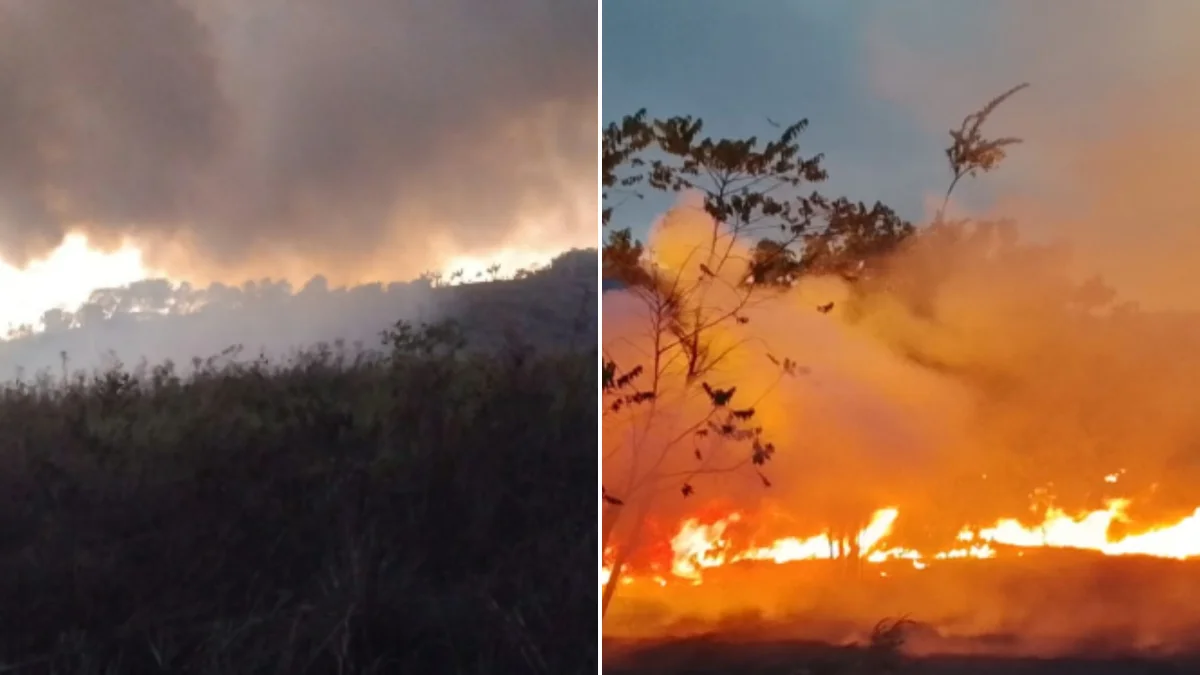 Indígenas Maxakali ficam sem água e comida em MG após uma semana de fogo