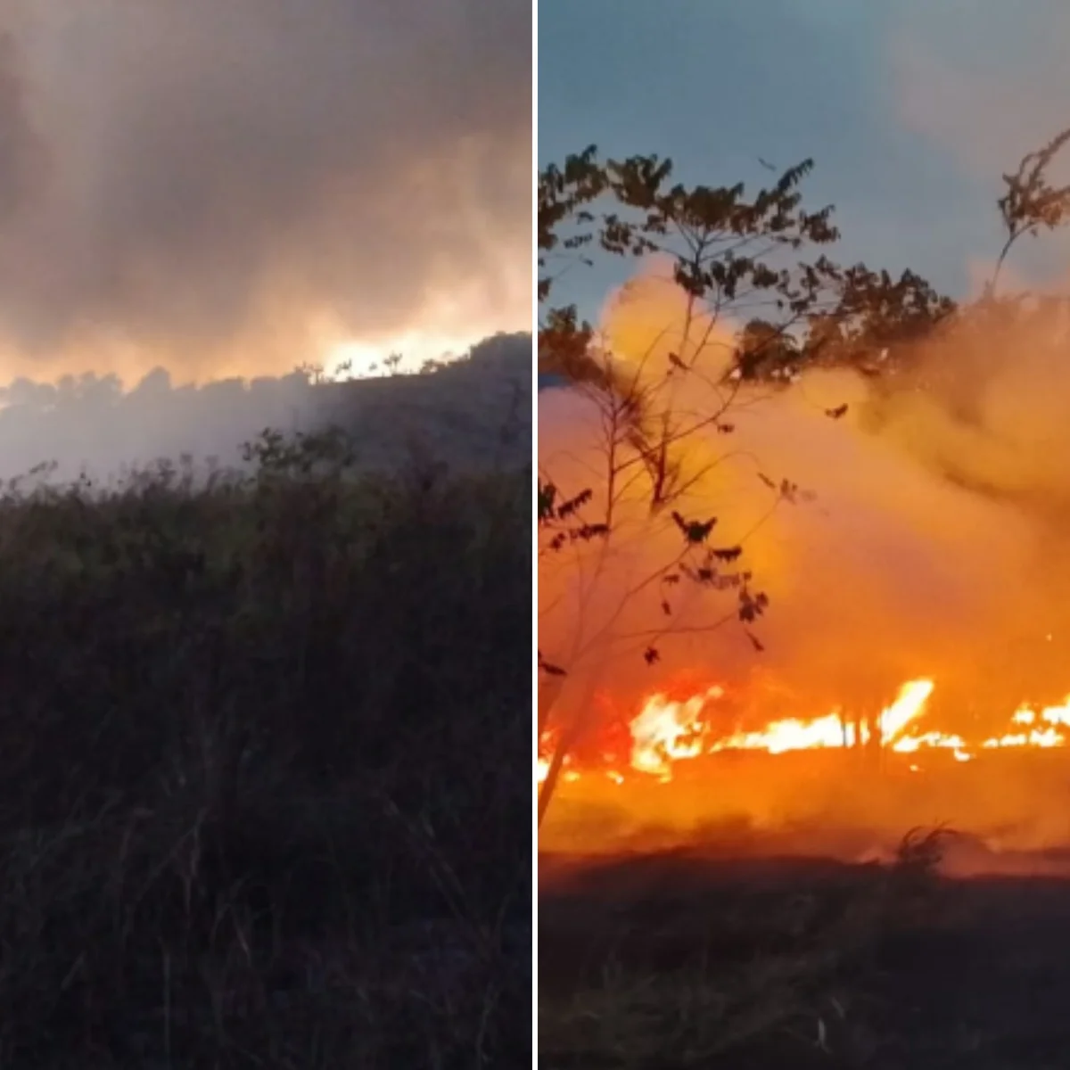Indígenas Maxakali ficam sem água e comida em MG após uma semana de fogo