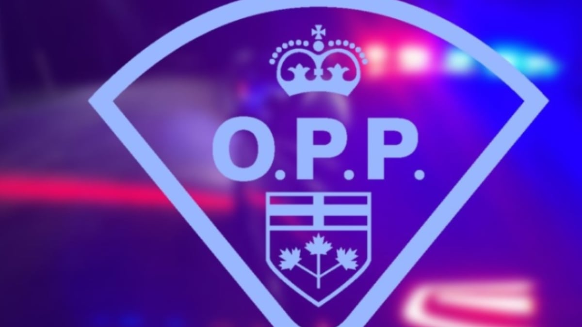 Southern Ont. man killed in Hwy. 17 crash in northwestern Ont.