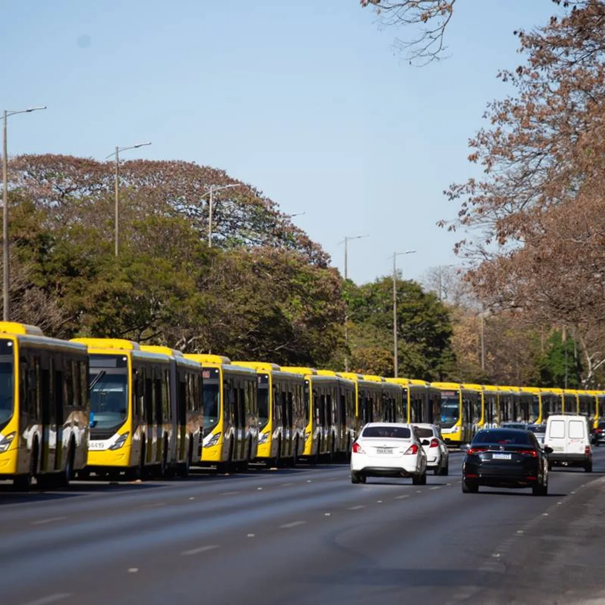 Governo de SP abre processo para romper contrato com empresa do BRT do ABC