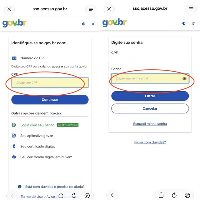 7 apps úteis para facilitar o dia a dia dos idosos; conheça