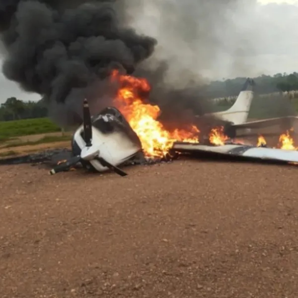 FAB intercepta aeronave vinda da Bolívia; piloto faz pouso forçado e incendeia avião