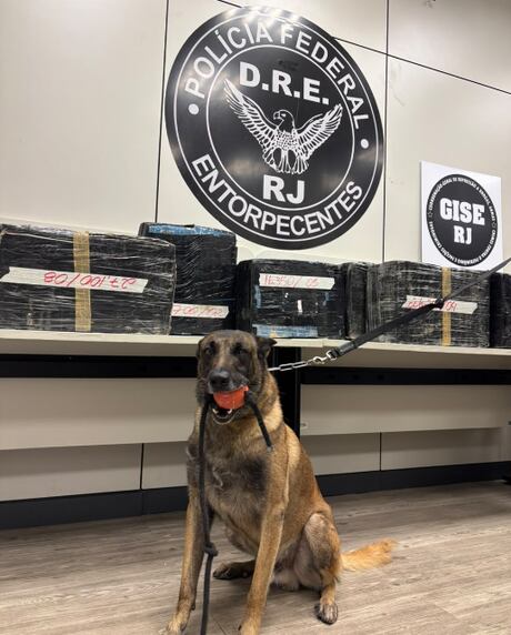 PF prende motorista com 385 kg de maconha e 4 kg de cocaína em caminhão em Piraí (RJ)
