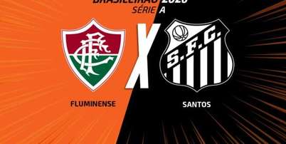 Fluminense vem de uma derrota para o Palmeiras, pela Libertadores - Foto: Cesar Greco/Palmeiras / Jogada10