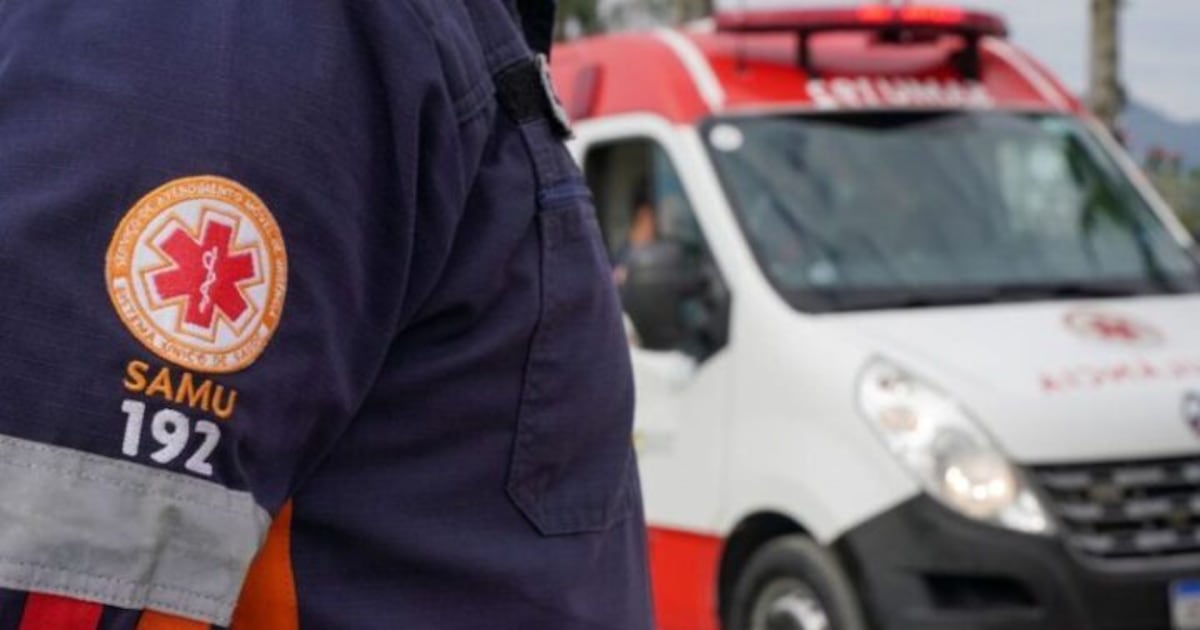 Dois idosos são atacados por abelhas no bairro do Costa e Silva, em João Pessoa; estado de saúde é regular