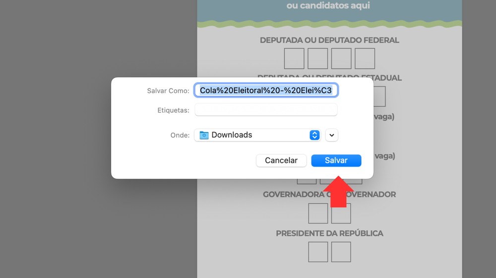 É simples baixar a cola eleitoral das eleições de 2026; veja o passo a passo — Foto: Reprodução/TSE