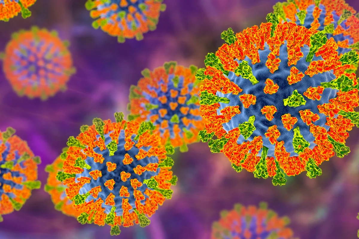 Ilustração da partícula do vírus do sarampo. Este vírus, do grupo Morbillivirus, consiste em um núcleo de RNA (ácido ribonucleico) circundado por um envelope repleto de proteínas de superfície, como a hemaglutinina-neuraminidase e a proteína de fusão, que são utilizadas para se ligar e penetrar em uma célula hospedeira. Metrópoles