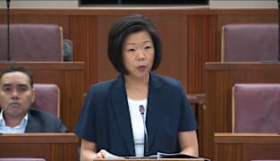 Sim Ann on arrestability in domestic violence cases