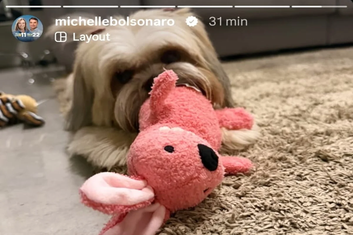 Michelle edita foto que aparecia Bolsonaro no Insta