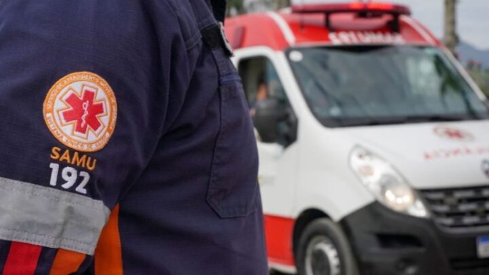 Imagem da matéria: Dois idosos são atacados por abelhas no bairro do Costa e Silva, em João Pessoa; estado de saúde é regular