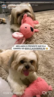 Michelle edita foto que aparecia perna e tornozeleira de Jair Bolsonaro